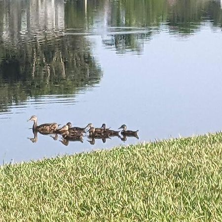 Port Saint Lucie A Little Piece Of Heaven- Peaceful Lake View Apartment- 1 Min From I95 And Turnpike Port St. Lucie Ngoại thất bức ảnh